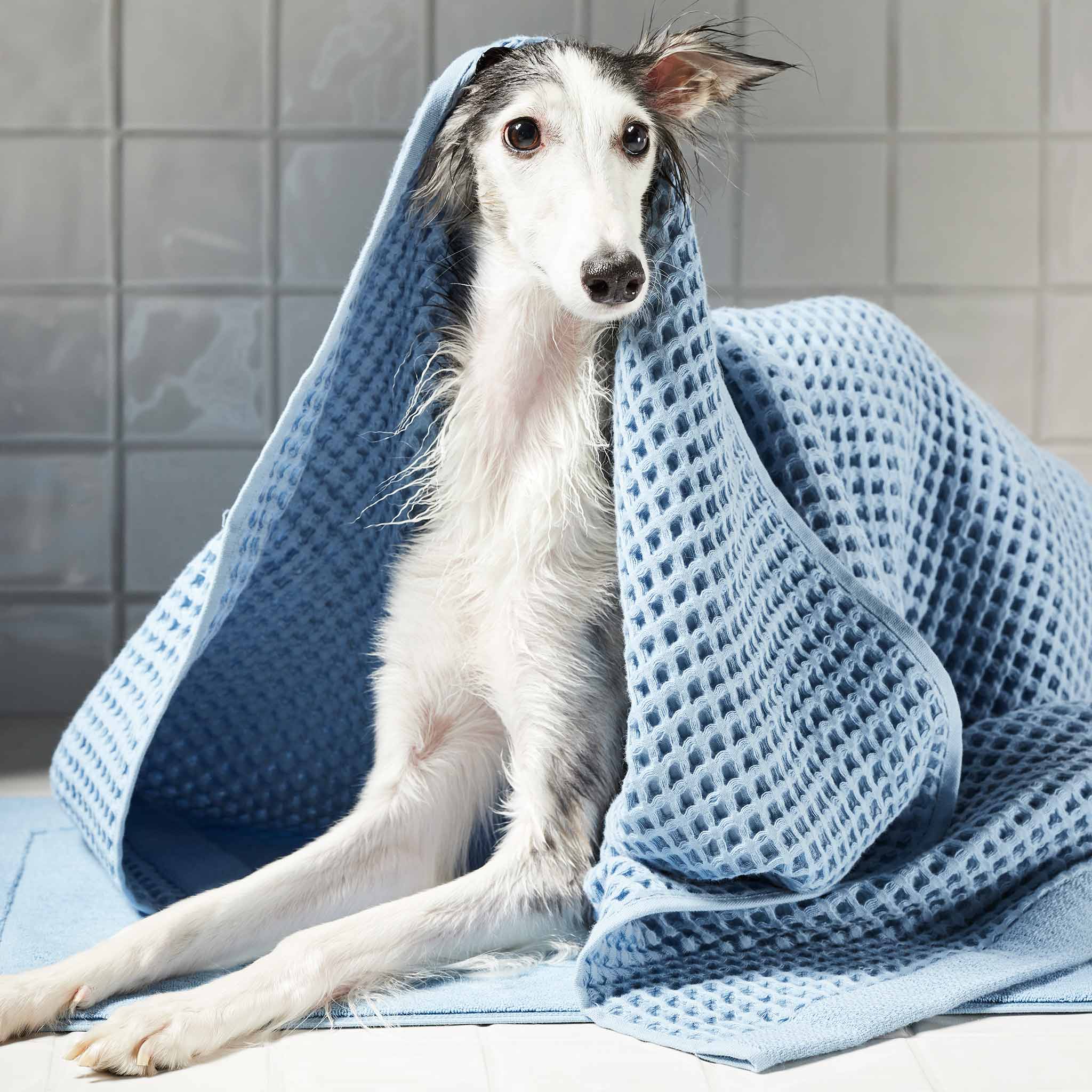 Dreamweave Waffle Bath Towels Set of 2 A0