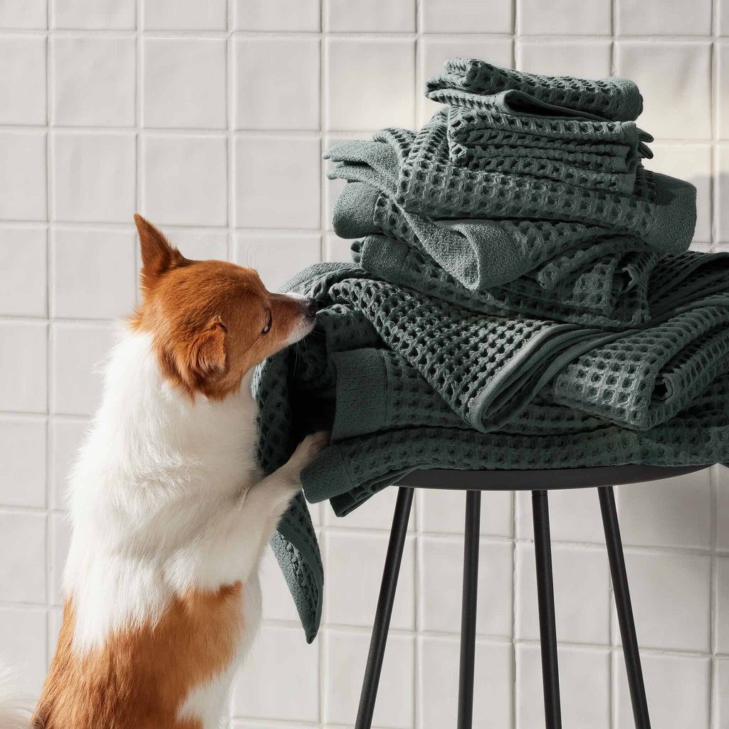 Dreamweave Waffle Bath Towels Set of 2 A0