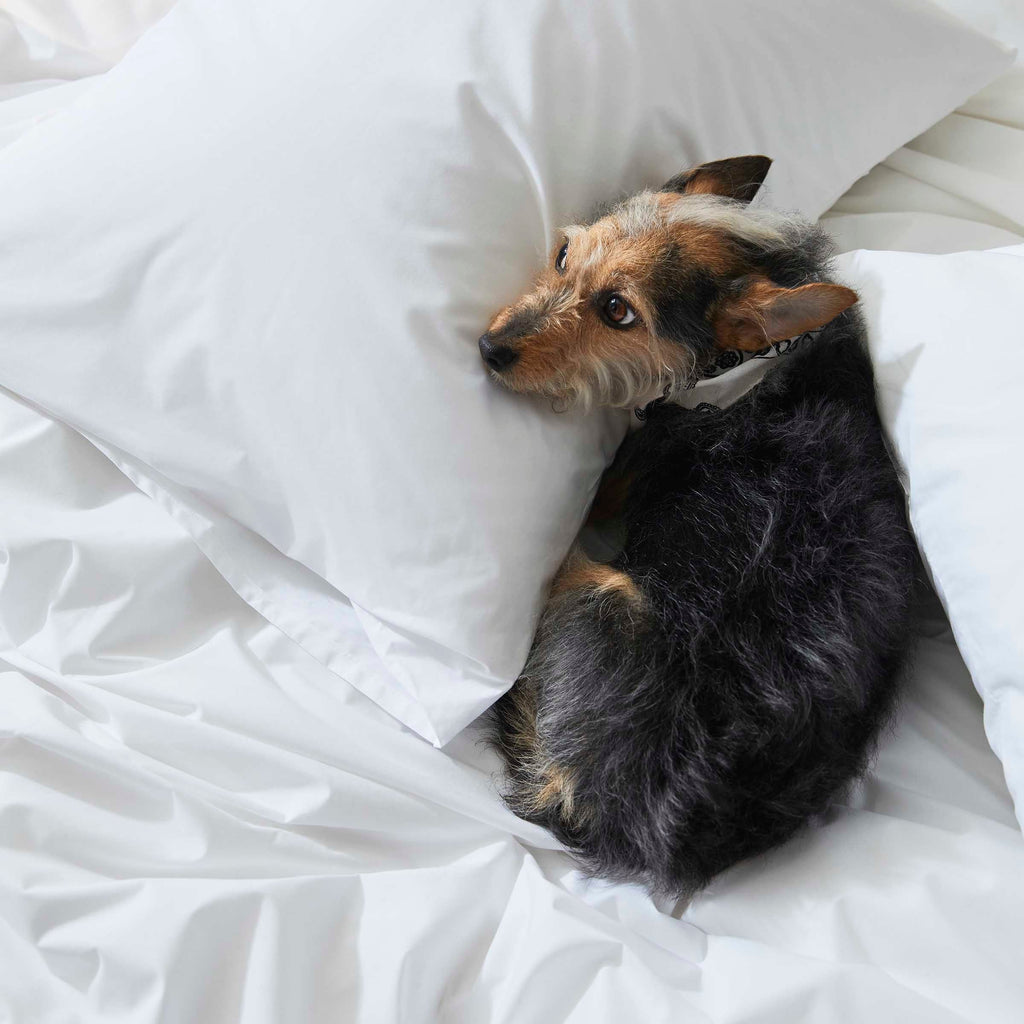 Classic Percale Duvet Cover E5
