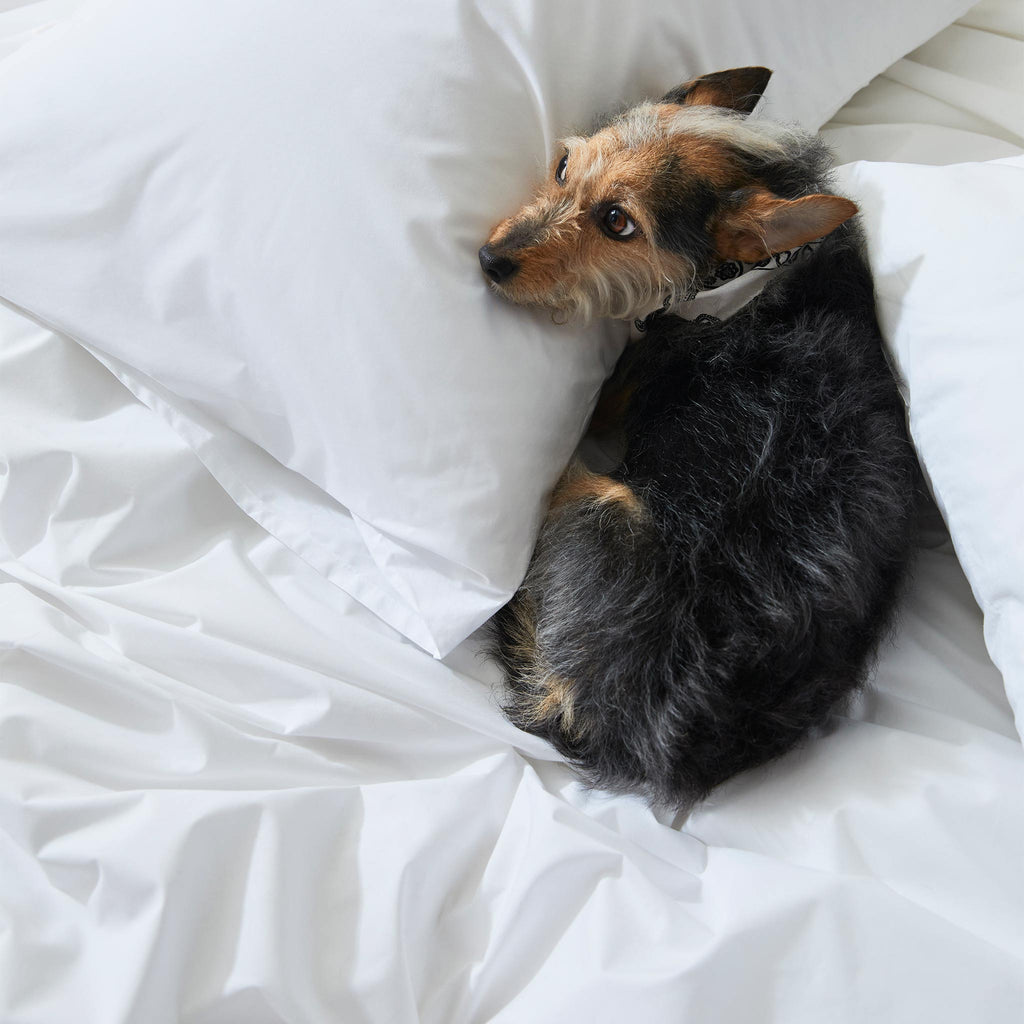 Classic Percale Core Sheet Set J4